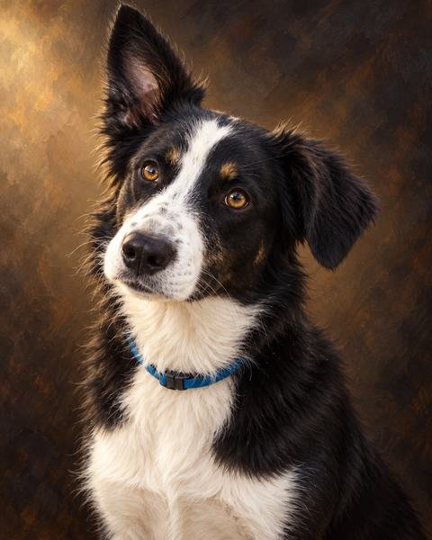 Ejemplo de mascota: Retrato clásico